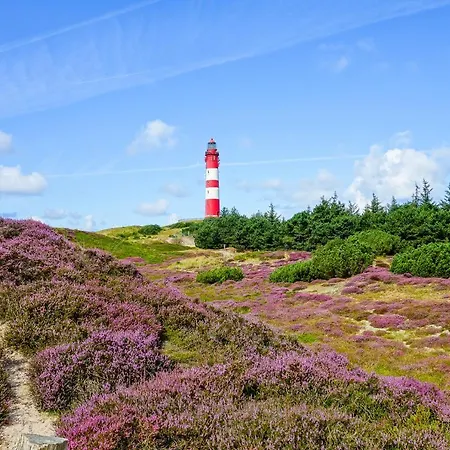 Friesenhaushaelfte Backbord * 内伯尔