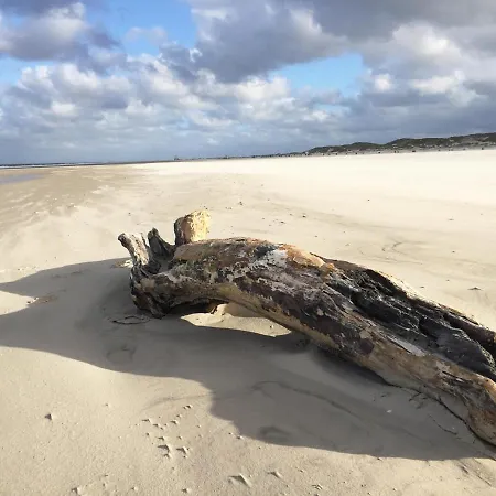 Friesenhaushaelfte Backbord